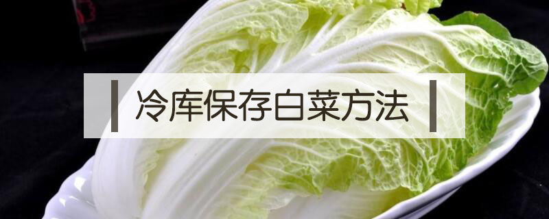 冷庫保存白菜方法