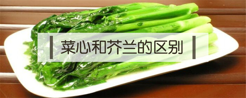 菜心和芥蘭的區(qū)別