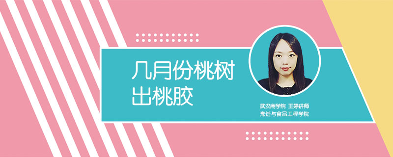 幾月份桃樹出桃膠