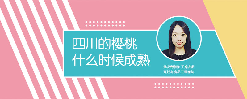 四川的櫻桃什么時(shí)候成熟