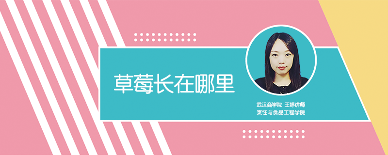 草莓長在哪里