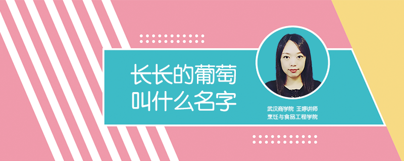 長長的葡萄叫什么名字