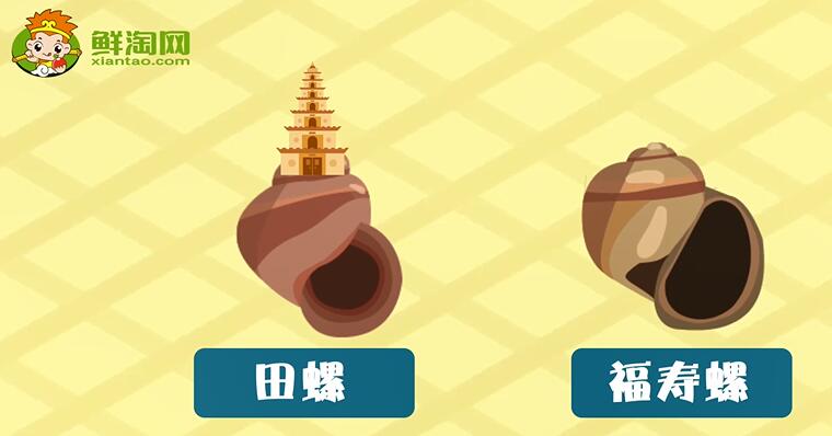 福壽螺和田螺的區(qū)別