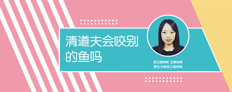 清道夫會咬別的魚嗎