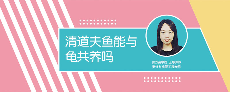 清道夫魚能與龜共養(yǎng)嗎