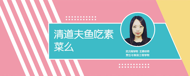 清道夫魚吃素菜么