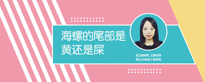 海螺的尾部是黃還是屎