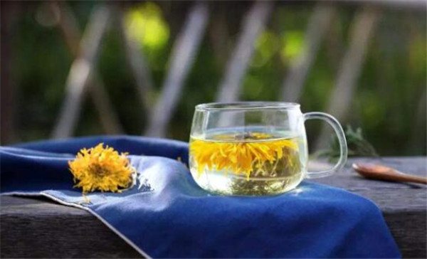 夏天花茶涼茶有哪些，廣東下火涼茶有哪些