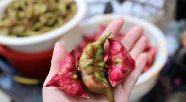 菱角長(zhǎng)在哪里，菱角什么時(shí)候成熟