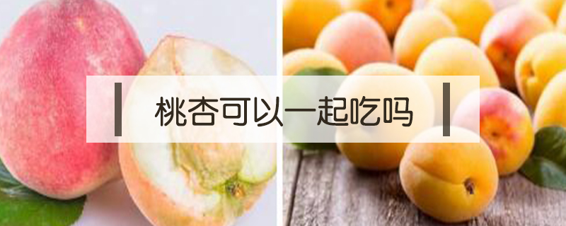 桃杏可以一起吃嗎