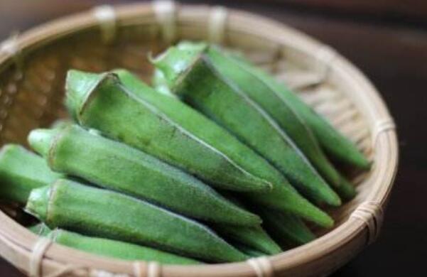 秋葵在浙江什么時候可以種植，秋葵剛結果什么時候可以摘