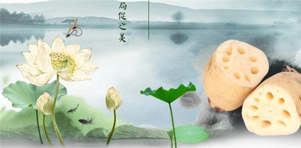 淺水蓮藕什么時候下種，極早熟淺水蓮藕品種
