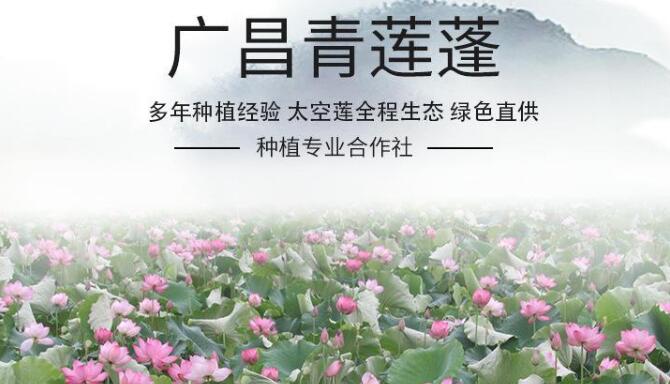 產蓮子的藕是什么品種，專產蓮子的品種有哪些