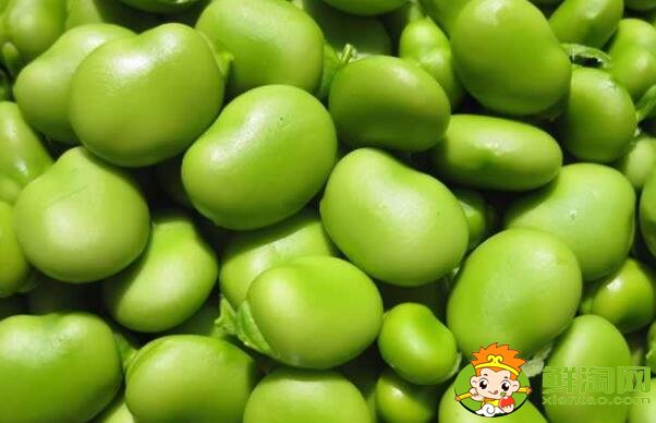 蠶豆和毛豆是一樣的嗎，毛豆與蠶豆的區(qū)別