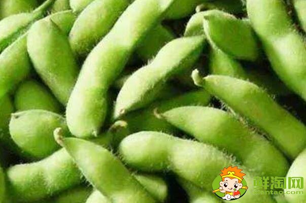 蠶豆和毛豆是一樣的嗎，毛豆與蠶豆的區(qū)別