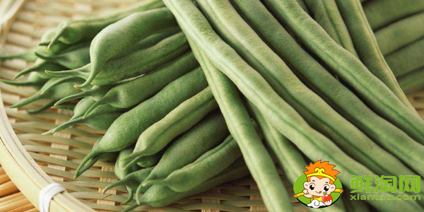 四季豆是什么季節(jié)的菜,四季豆是什么時(shí)候上市