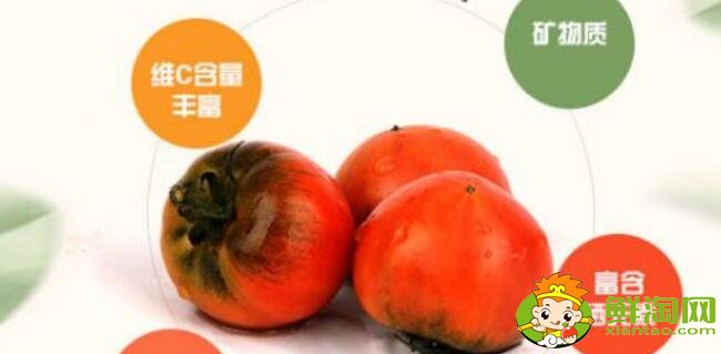 正宗鐵皮柿子產地是哪里，丹東鐵皮柿子什么時候上市