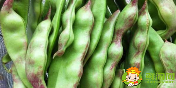 油豆角怎么挑選,油豆角怎么處理