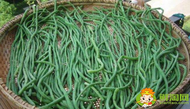 干豆角怎么曬干成綠色，曬干的干豆角可以放冰箱嗎