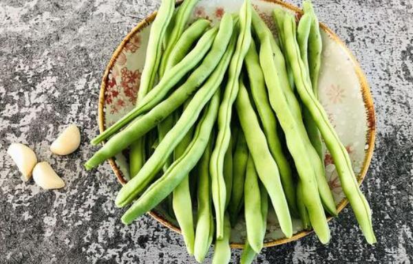 蕓豆長什么樣，蕓豆品種圖片大全