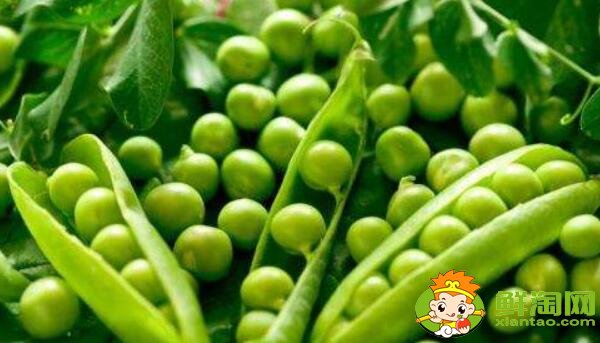 豌豆角直接炒可以嗎，豌豆角是煮還是蒸