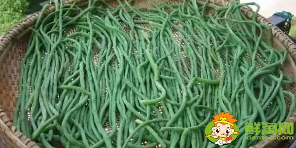 怎樣曬干豆角不發(fā)黃，干豆角怎么曬不變色