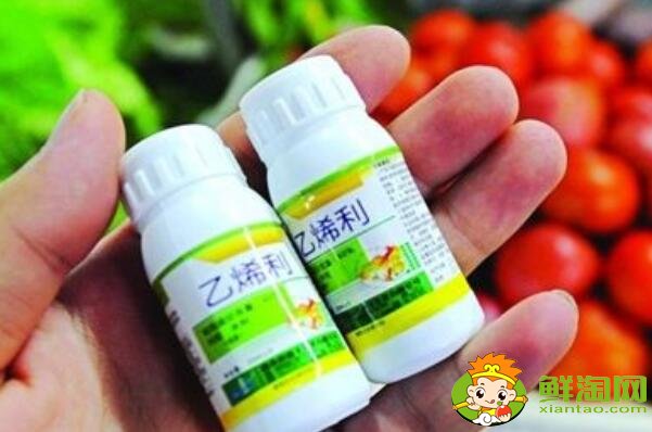 青皮核桃怎么吃，核桃去青皮用什么藥