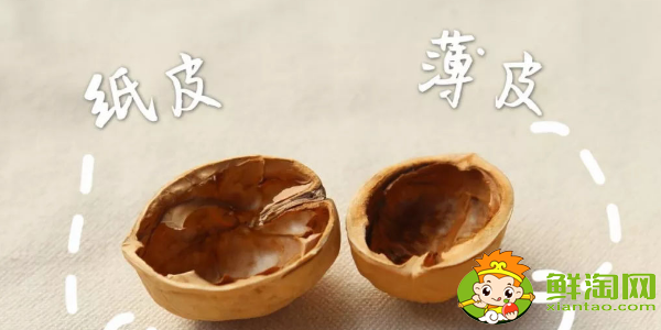 薄皮核桃和厚皮核桃哪個好，薄皮核桃和紙皮核桃有什么區別