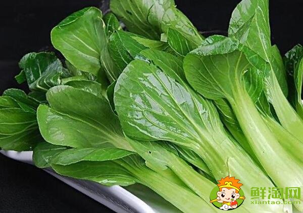 青菜如何保鮮，青菜如何長時間存放
