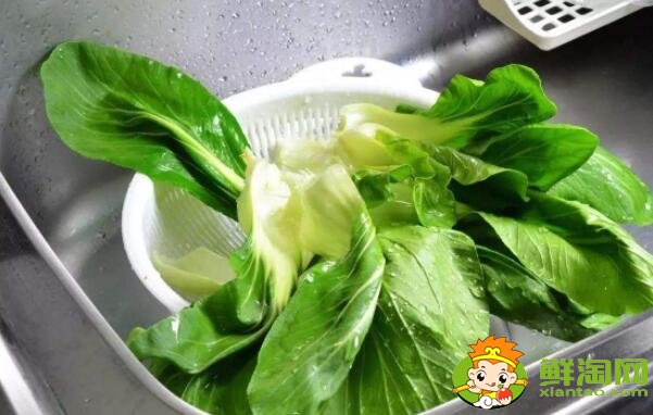 青菜有蟲子怎么辦，青菜有藍色顆粒有毒嗎