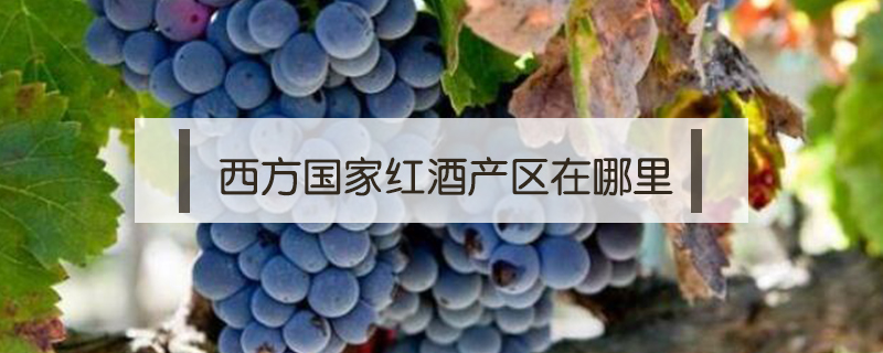 西方國家紅酒產(chǎn)區(qū)在哪里