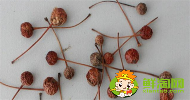 貼梗海棠的果實是什么果，貼梗海棠果實核是什么樣