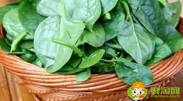 木耳菜的根莖能吃嗎，開(kāi)花的木耳菜吃起來(lái)怎么是酸的