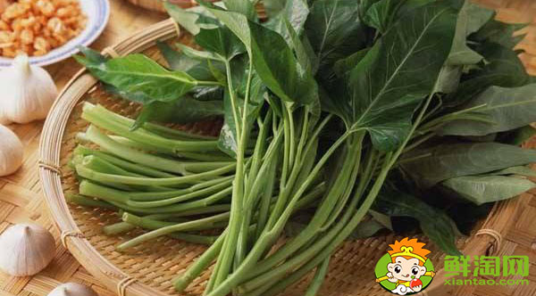 空心菜要怎么挑洗，長的空心菜怎么處理