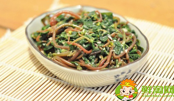 馬齒莧為什么叫長壽菜，黑色長壽菜就是馬齒莧嗎