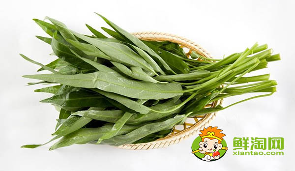 蕹菜又名什么，水雍菜和空心菜的區別