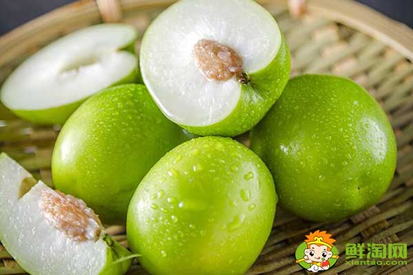 青棗適合什么地方種植，青棗產(chǎn)地主要在哪個省