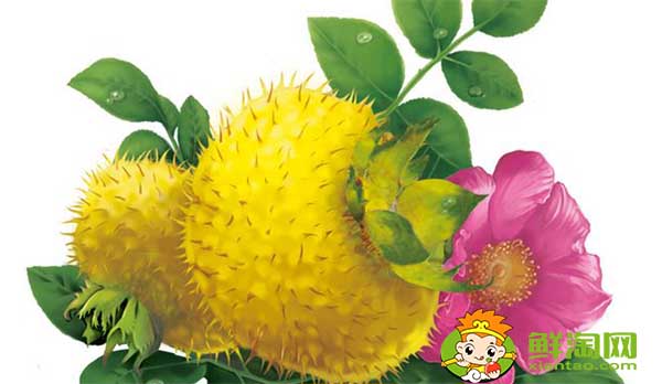 野生刺梨泡酒怎么泡好吃，刺梨泡酒怎么泡要加糖嗎