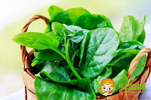 種植木耳菜需要搭架子嗎，木耳菜架子搭多高