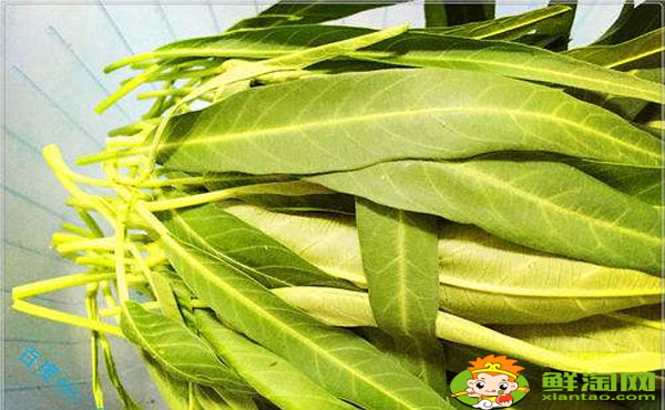空心菜葉子要不要去掉，空心菜葉子發黃能吃嗎