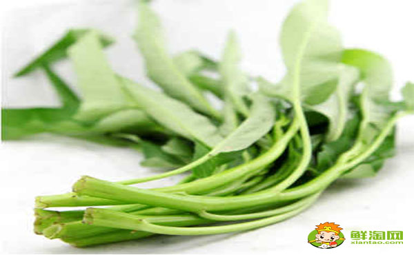 空心菜葉子要不要去掉，空心菜葉子發黃能吃嗎