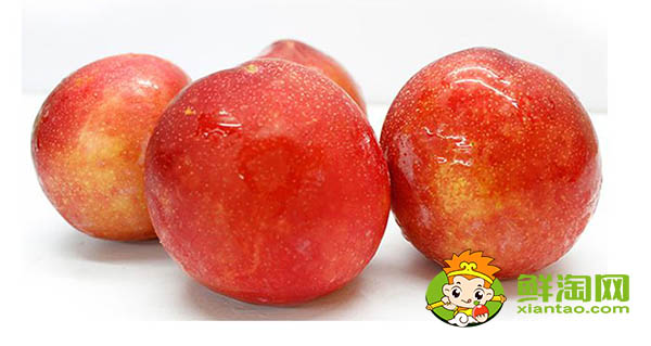 紅布林怎么吃不酸，紅布林一天可以吃幾個