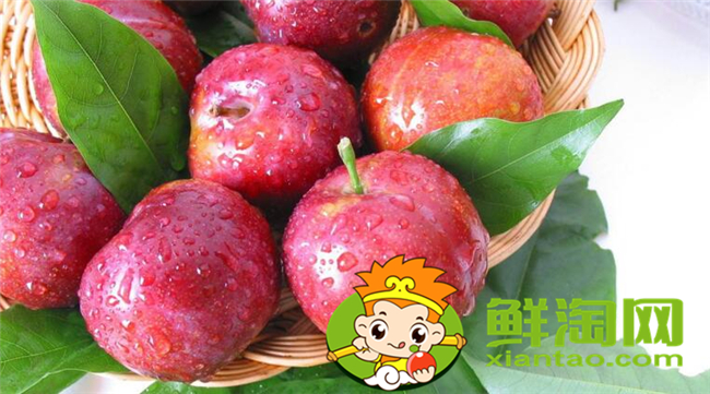 黑布林有紅肉嗎，黑布林和紅布林哪個甜