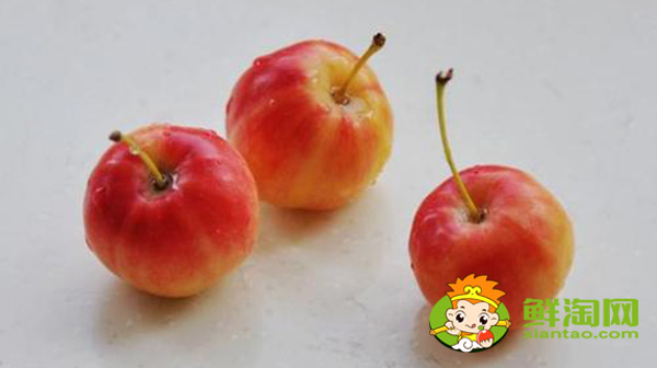 海棠果沒熟青果怎樣吃，沙果哪個地方的好吃