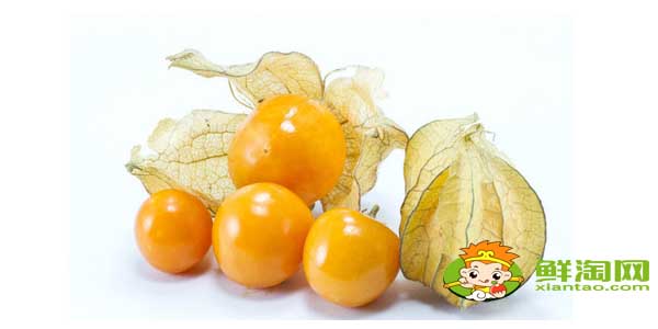 姑娘果什么時(shí)候才有，沒(méi)熟的姑娘果有毒嗎