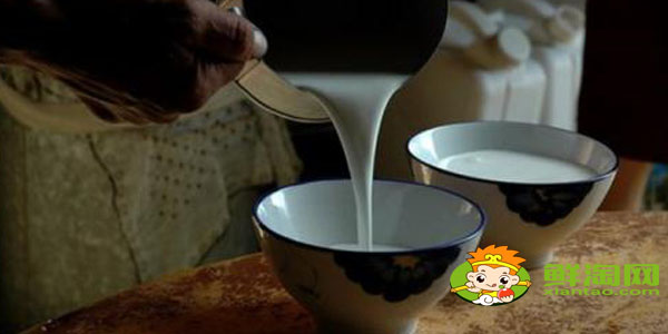 國家品牌駱駝奶哪個最好，國產最好駱駝奶粉品牌