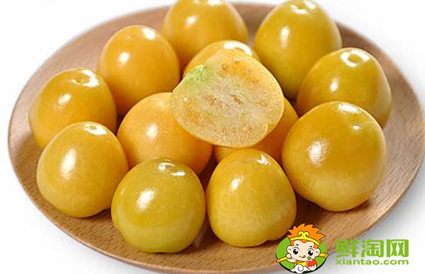 姑娘果和燈籠果一樣嗎，姑娘果的產(chǎn)地都有哪些地方