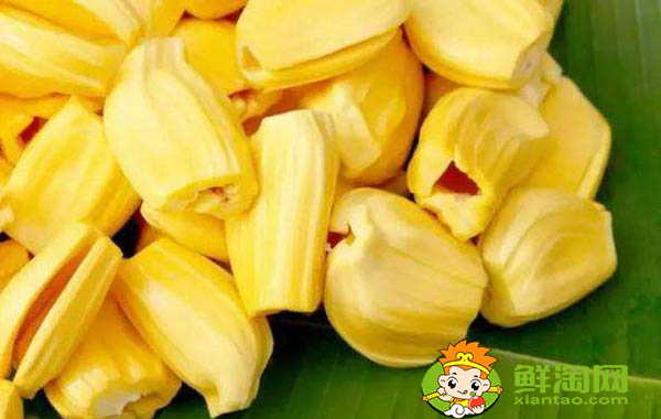 菠蘿蜜怎么保存才不壞，菠蘿蜜肉怎么保存