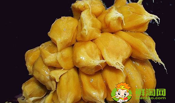 菠蘿蜜怎么保存才不壞，菠蘿蜜肉怎么保存