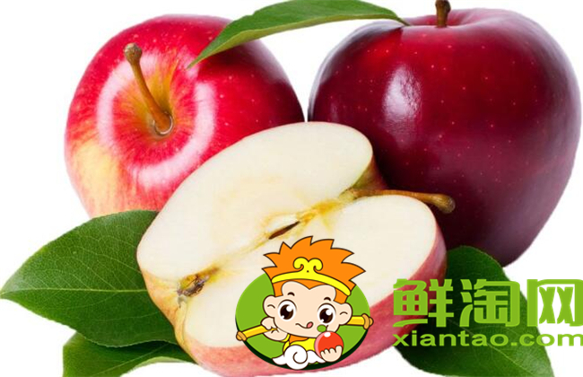 沙果是什么季節(jié)的水果，沙果屬于蘋果嗎
